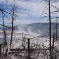 yellowstone-3