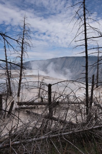 yellowstone-3