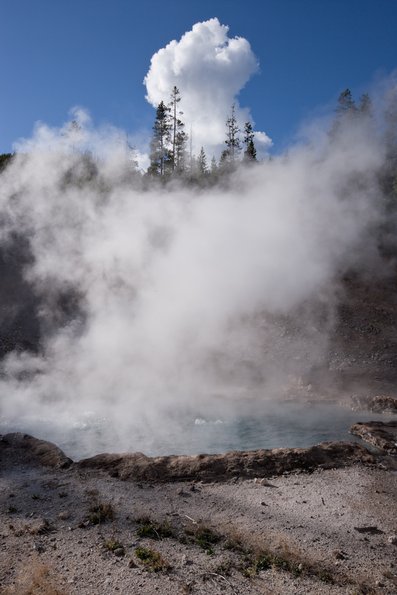 yellowstone-7